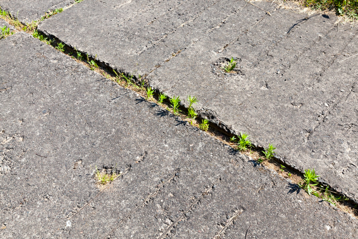 Houston Expansion Joint